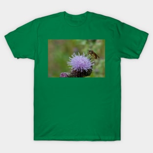 Dance Fly on Thistle Flower T-Shirt